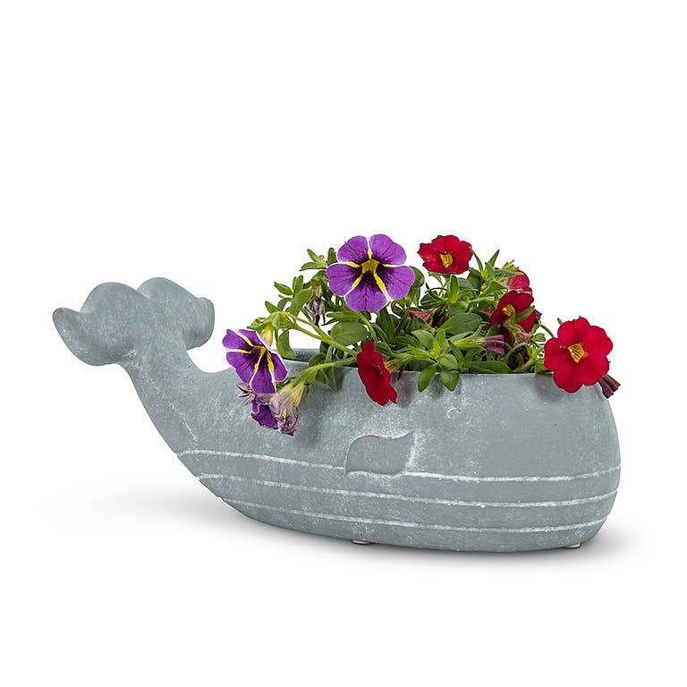 Sm Whale Low Planter-8"L