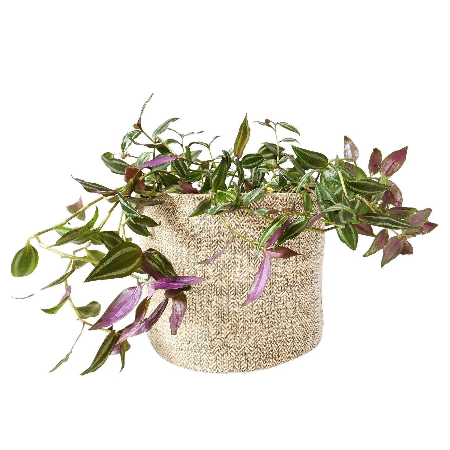 Handwoven Hemp Plant Pot Cover: Large
