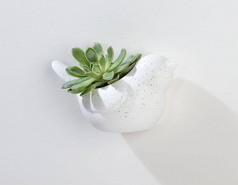 Simple Bird Wall Planter-Ivory-6.5"