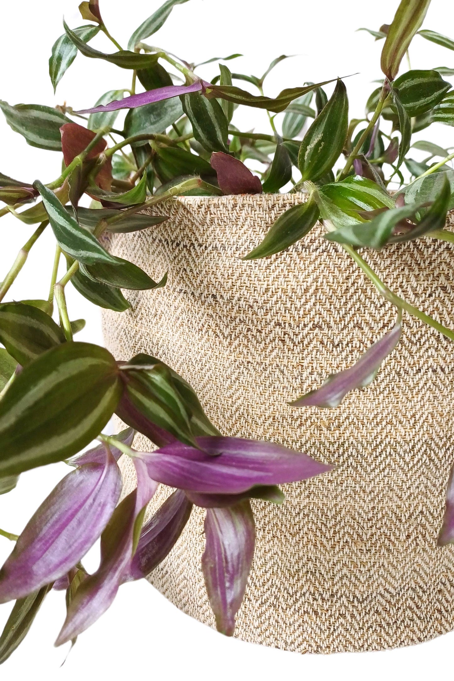 Handwoven Hemp Plant Pot Cover: Large