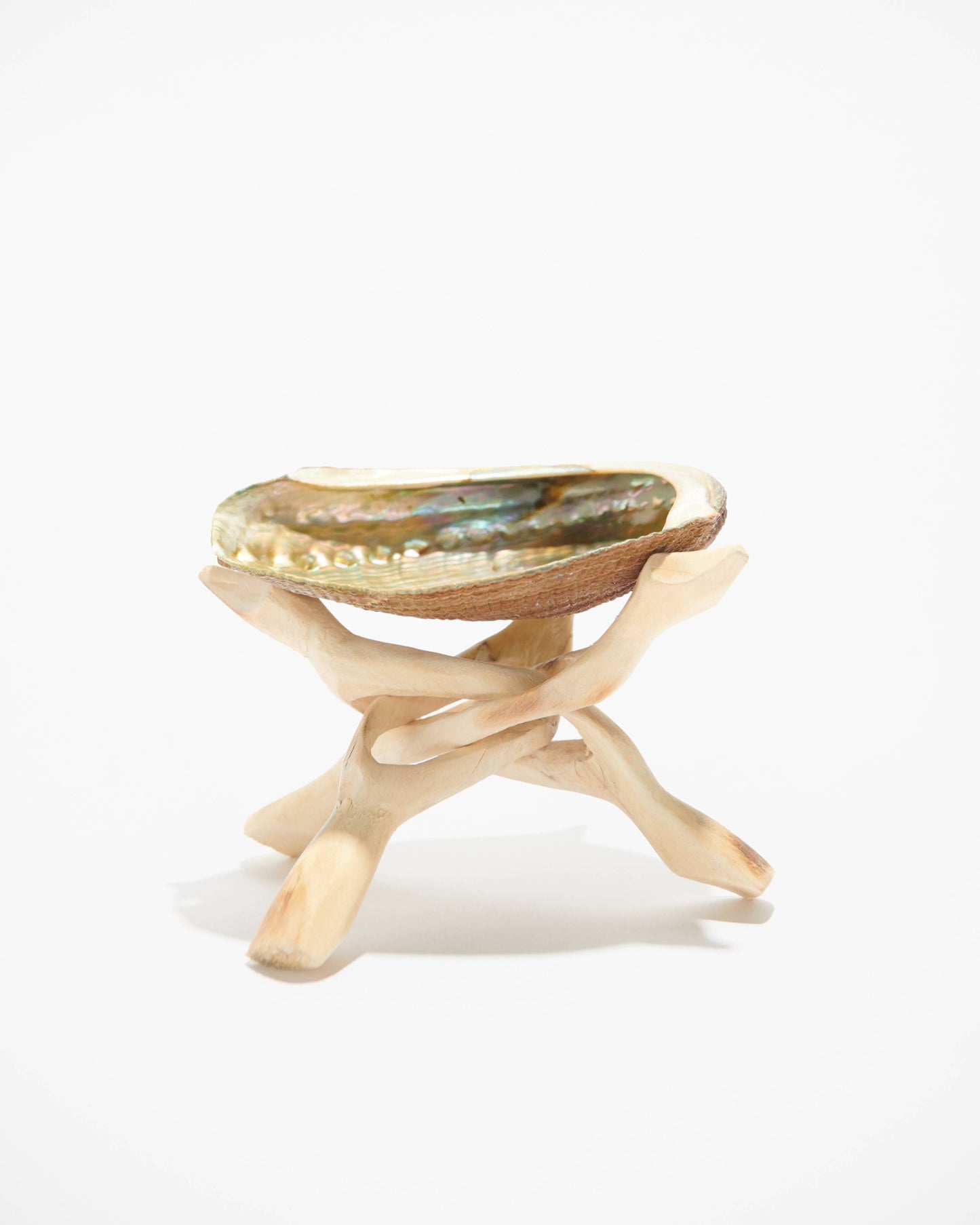 Abalone Shell Stand, Cobra Tripod, Wooden Tripod Stand: XS