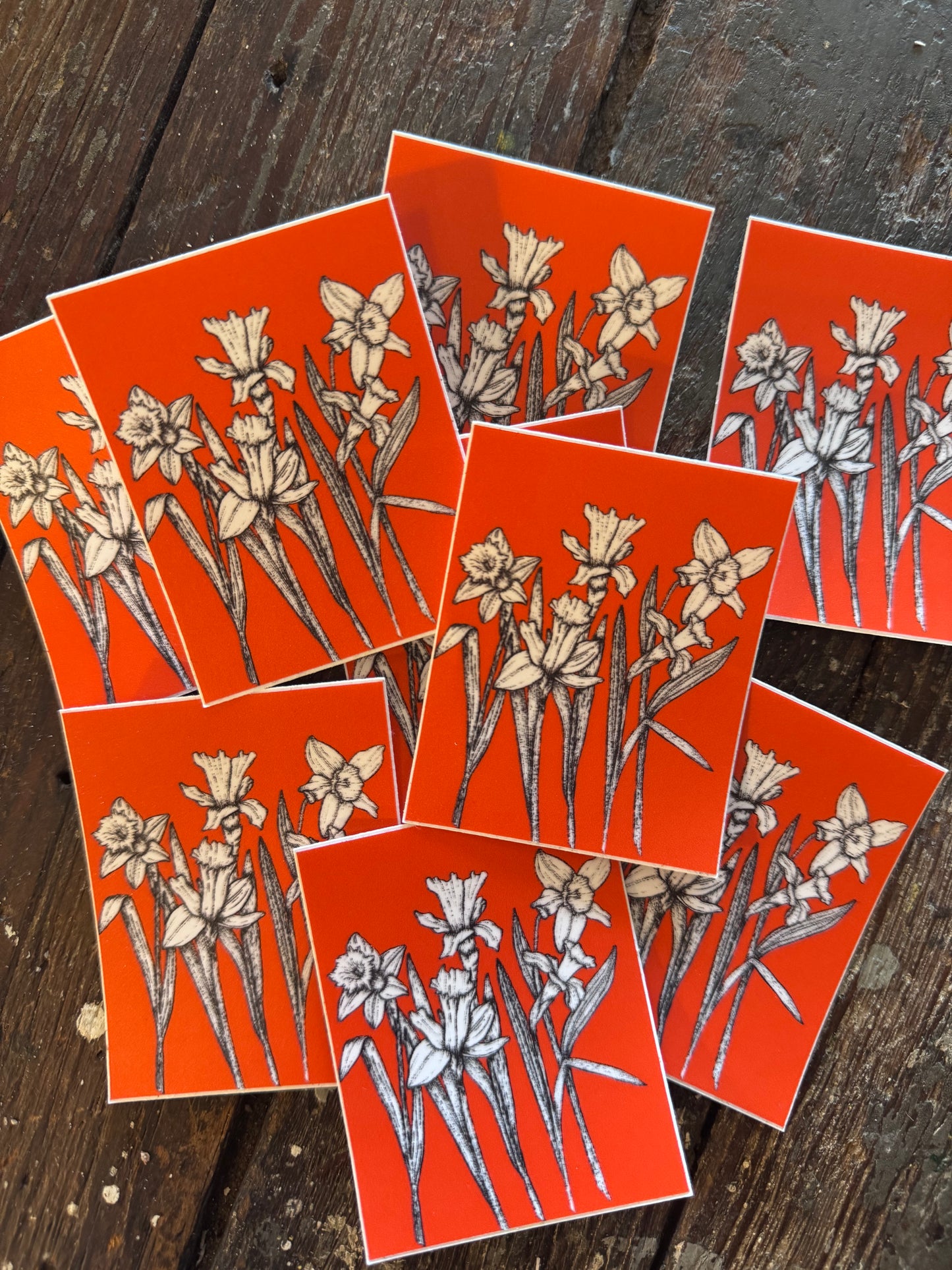 White Daffodil Sticker