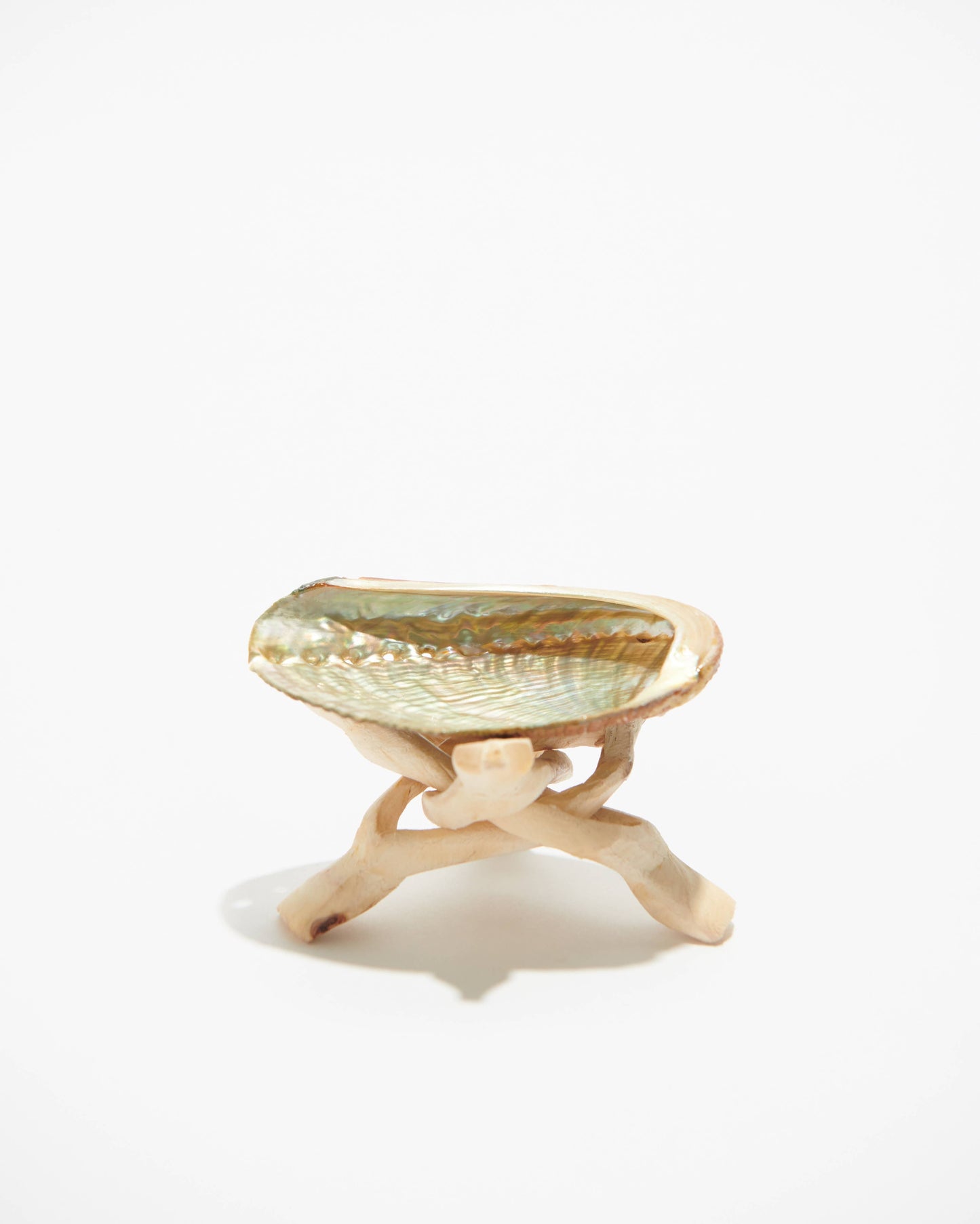 Abalone Shell Stand, Cobra Tripod, Wooden Tripod Stand: Lge.
