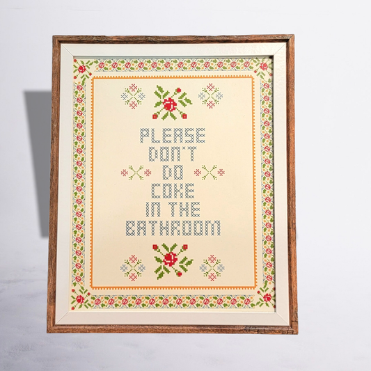 Please Don't do Coke in the Bathrooom (Frame not included)