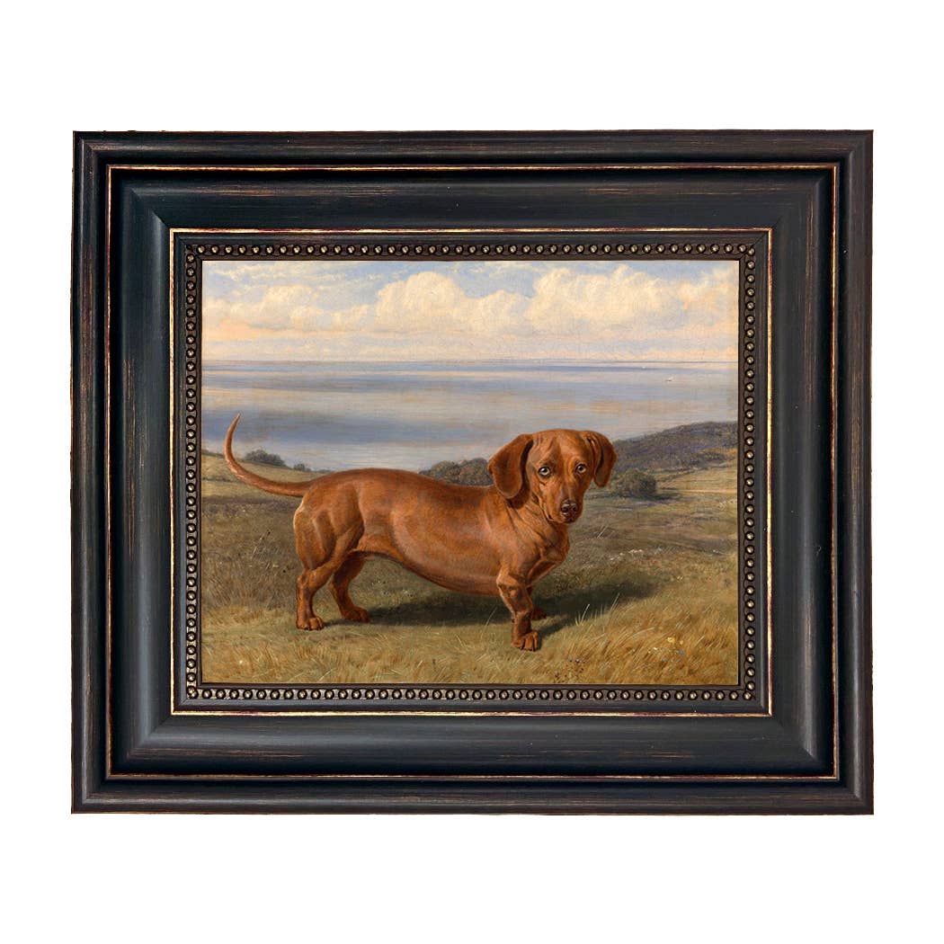 Boy the Dachshund Framed Oil Painting Print on Canvas