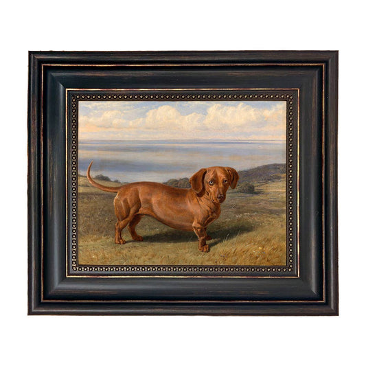 Boy the Dachshund Framed Oil Painting Print on Canvas