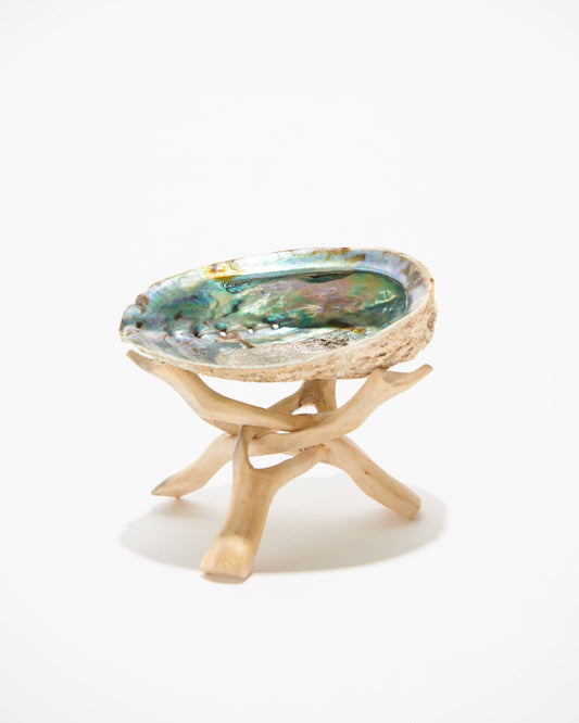 Abalone Shell Stand, Cobra Tripod, Wooden Tripod Stand: Reg.