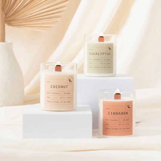 Sun Candle Gift Set (Coconut, Eucalyptus, Cinnamon, 3-Pack)