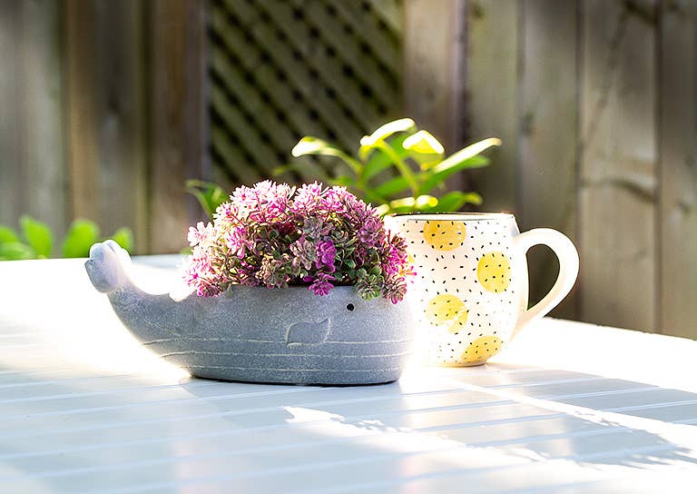 Sm Whale Low Planter-8"L