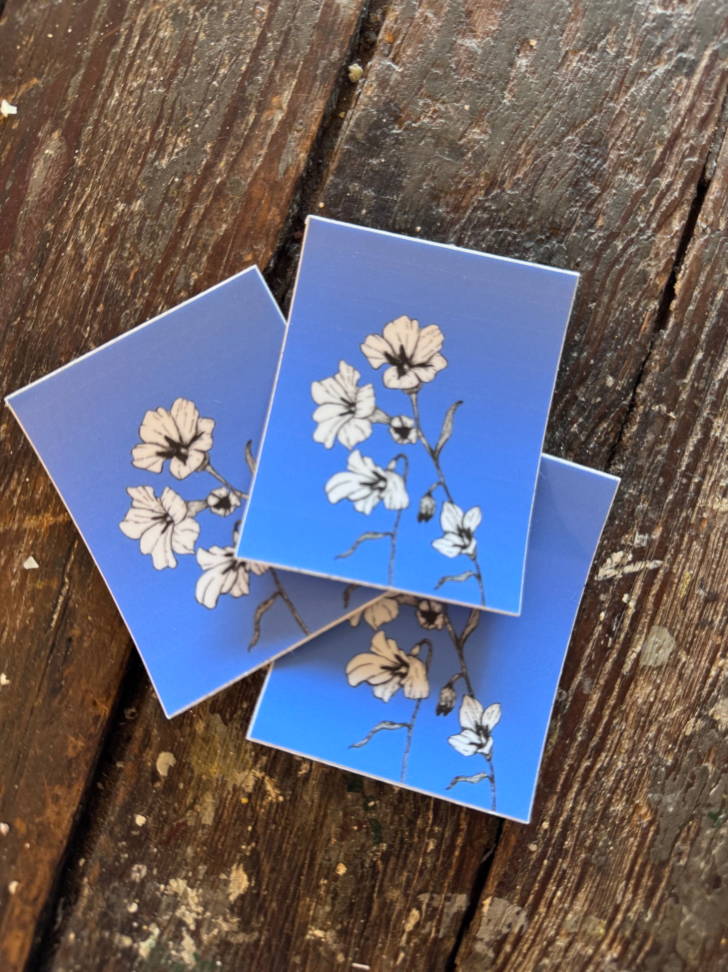 White Lily Blue Background Sticker