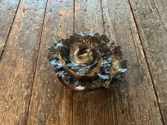 Tessa Richardson Spiral Wall Sculpture