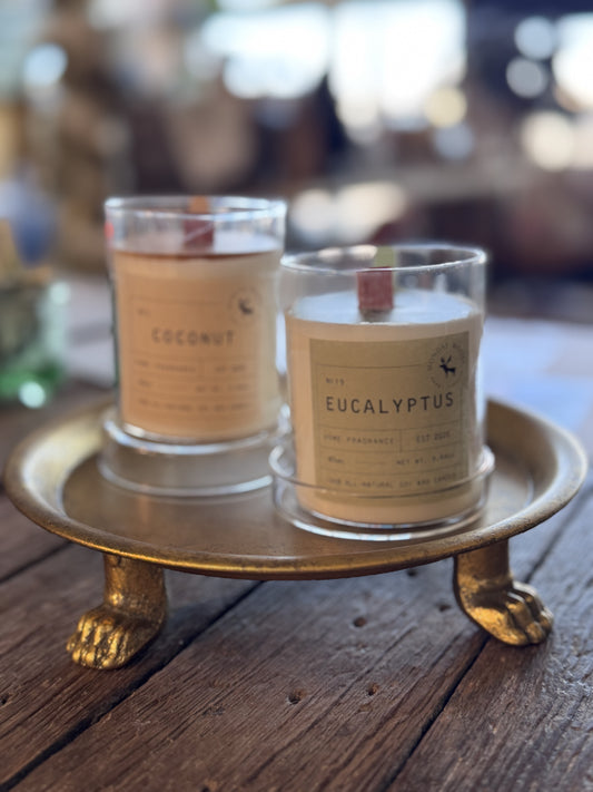 Coconut Candle