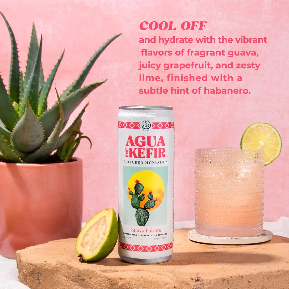Agua de Kefir