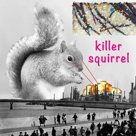 Killer Squirrel Protein Bar