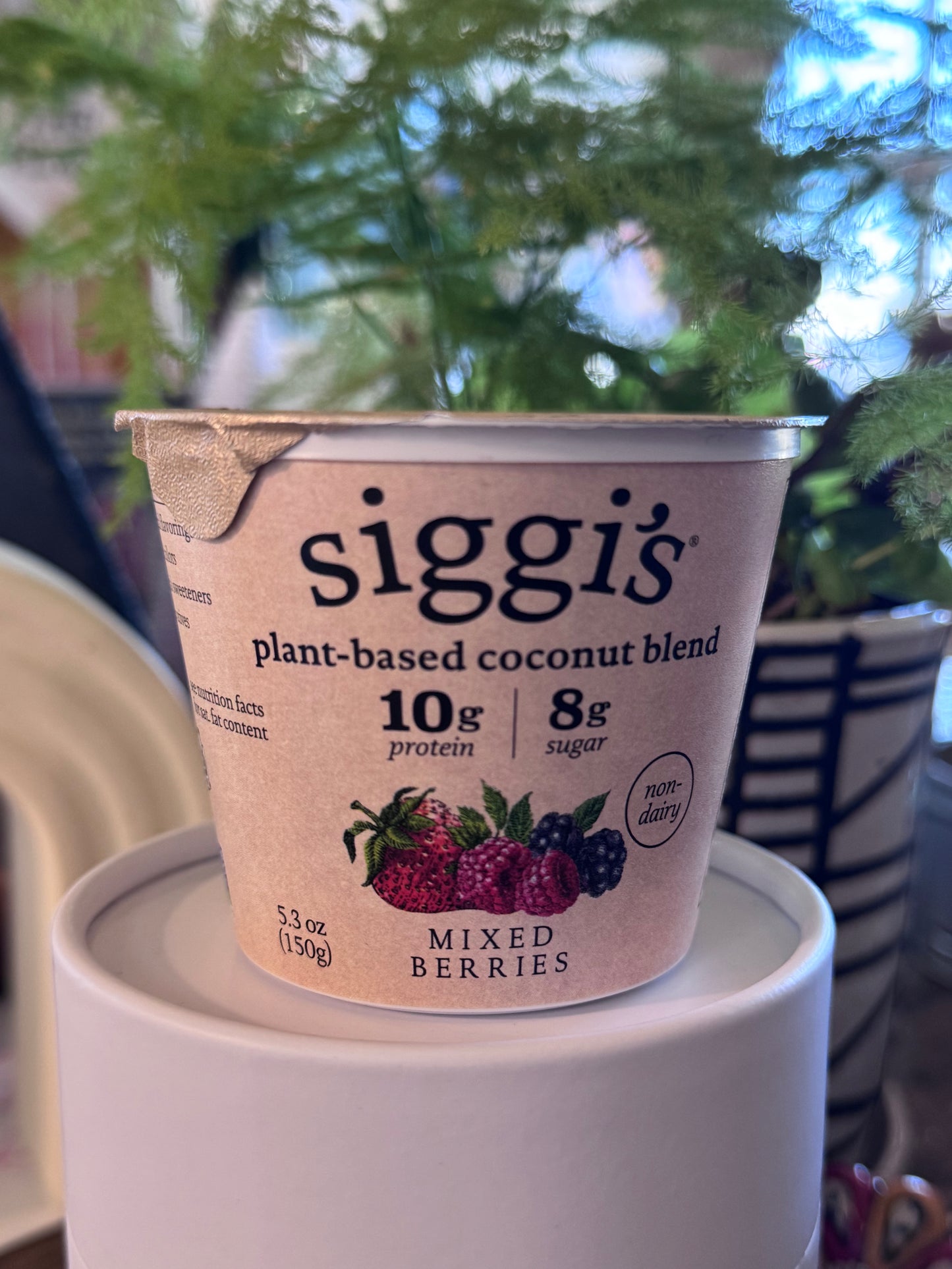 Siggi's Plant-Based Yogurt