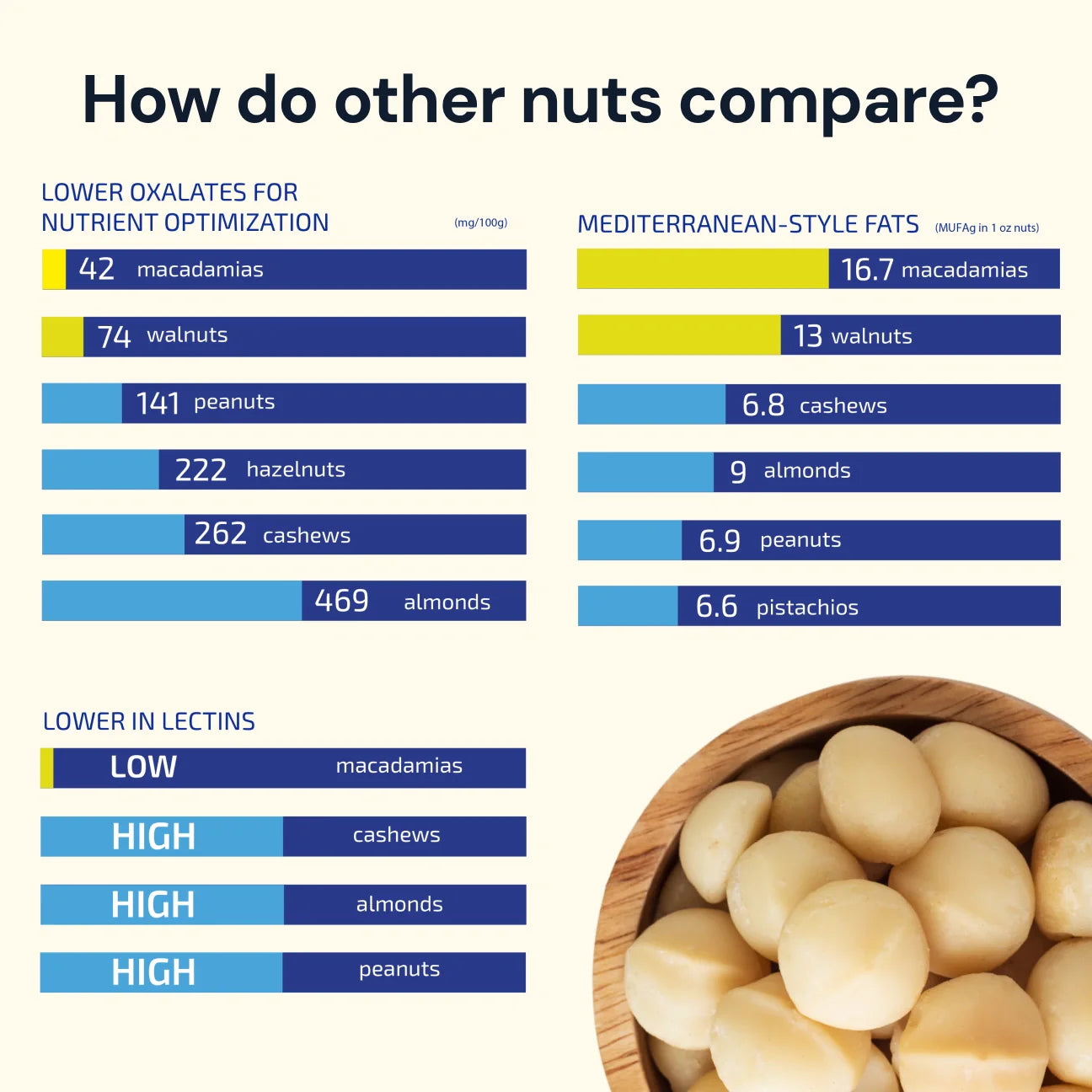 Blueprint Macadamia Protein Bar