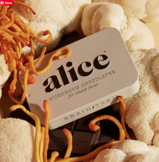 Alice Mushrooms Chocolates