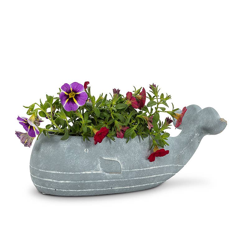 Sm Whale Low Planter-8"L