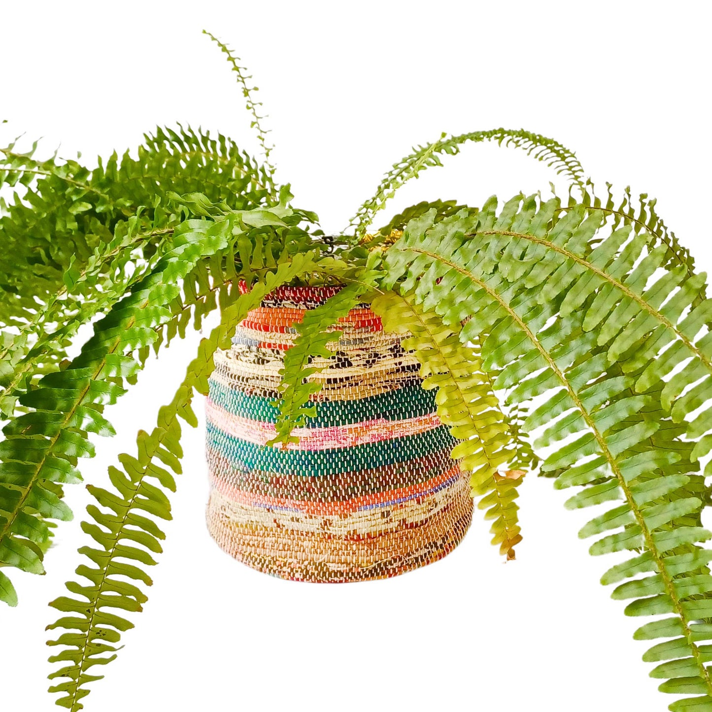 Upcycled Plant Pot Cover: Medium