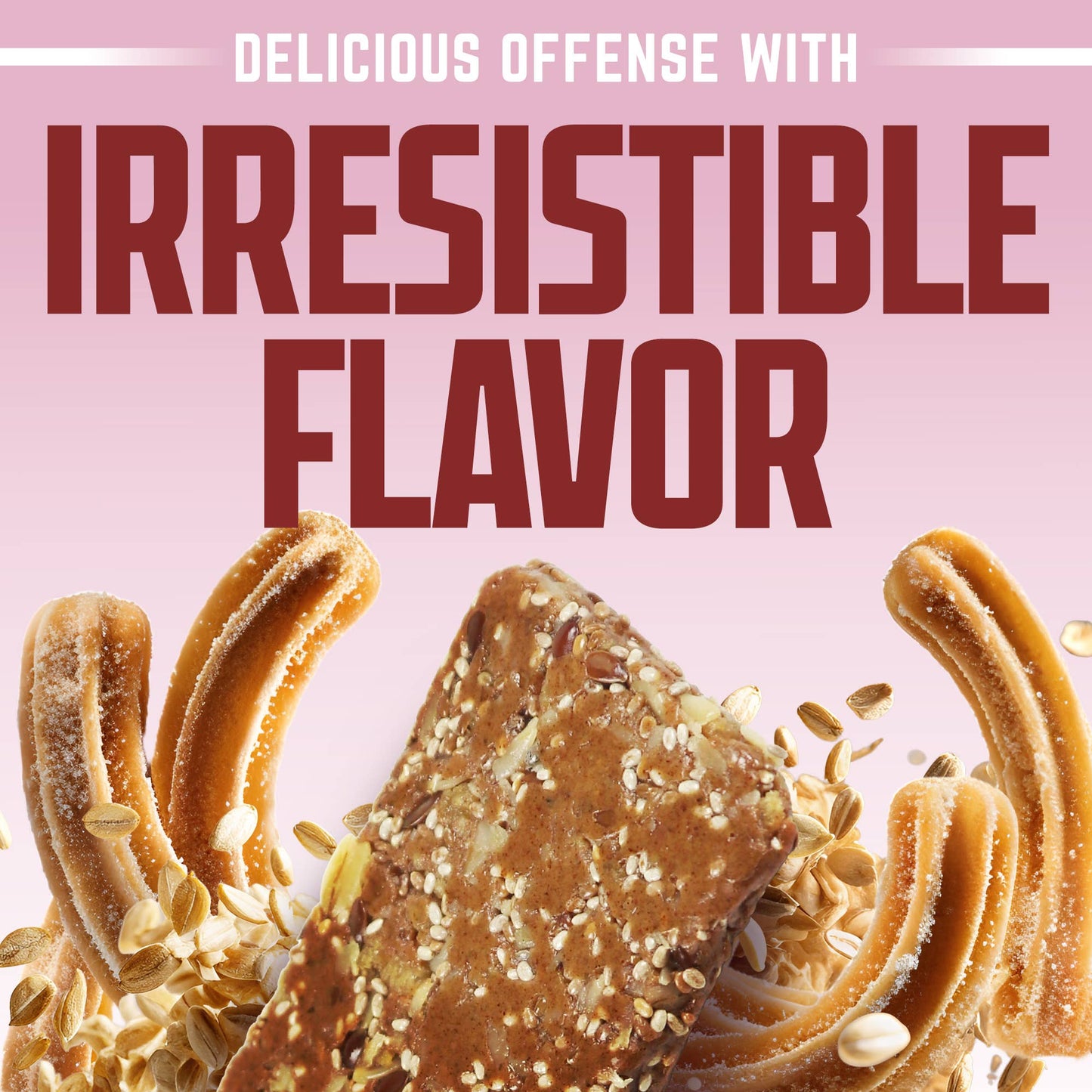 Cinnamon Churro Oatmeal Defender Bar