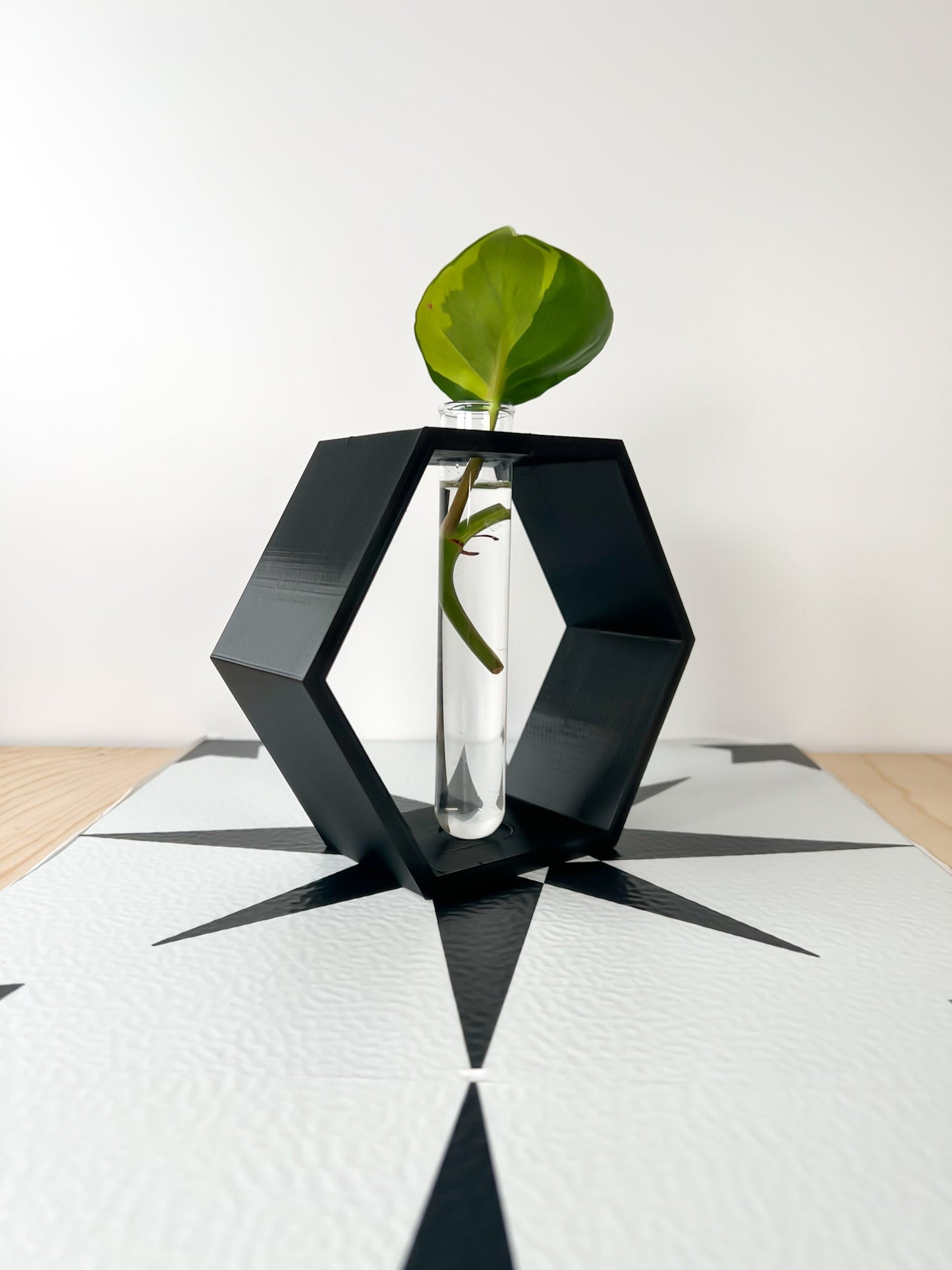 Hexagon Propagation Station